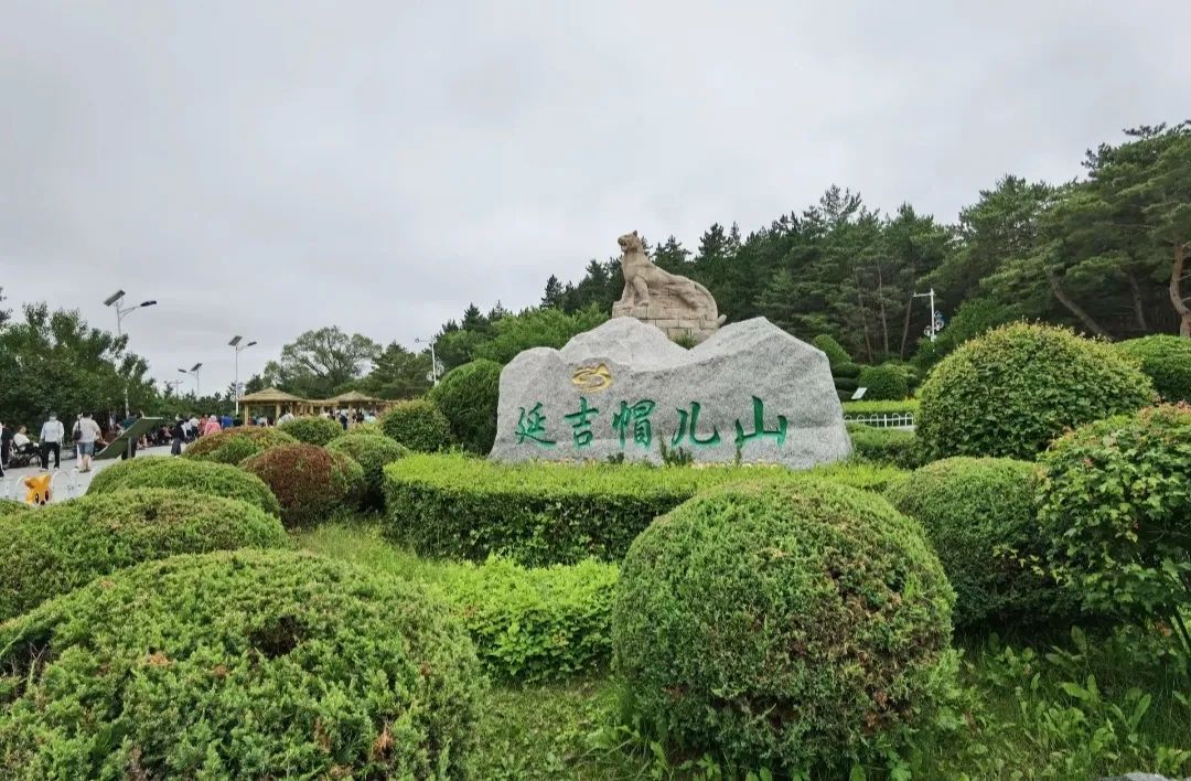 DƬ